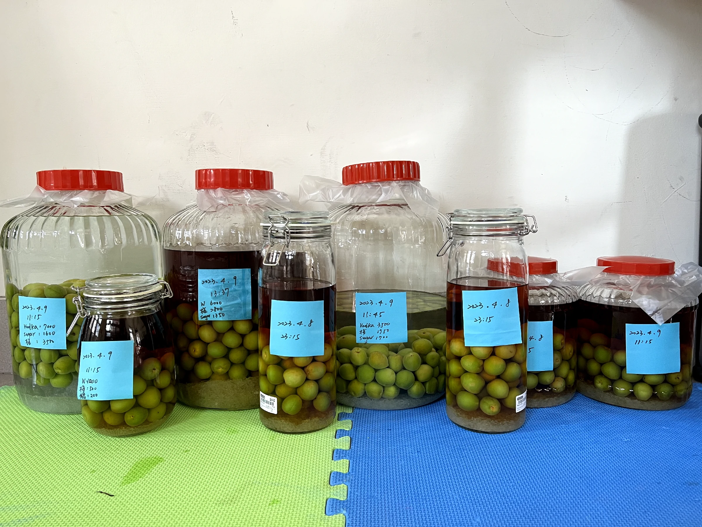 不同基酒與比例的自釀梅酒