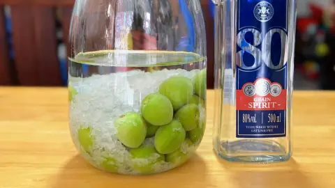 自己的梅酒自己釀：超簡單自釀梅酒攻略