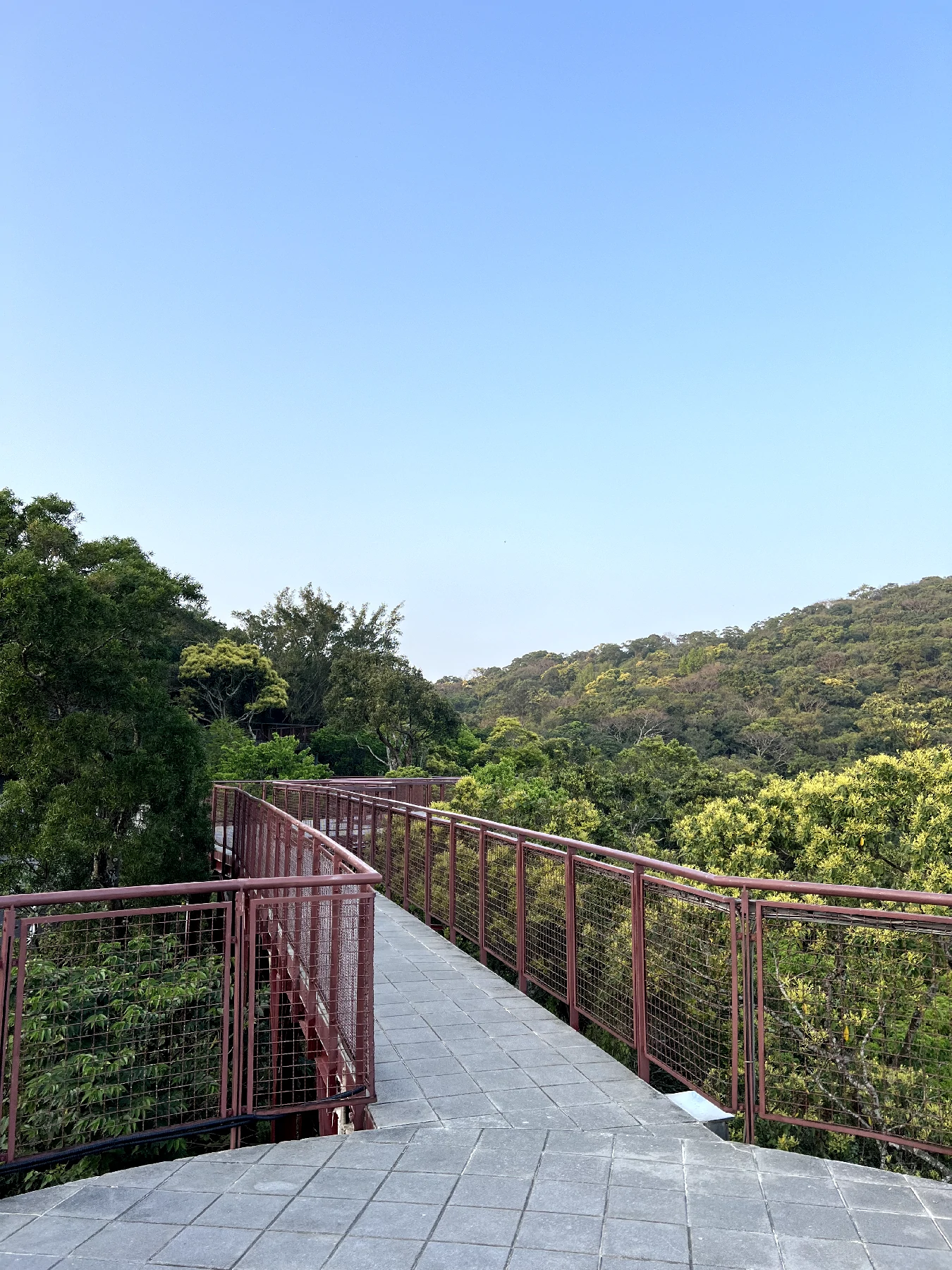 碧山露營場天空步道