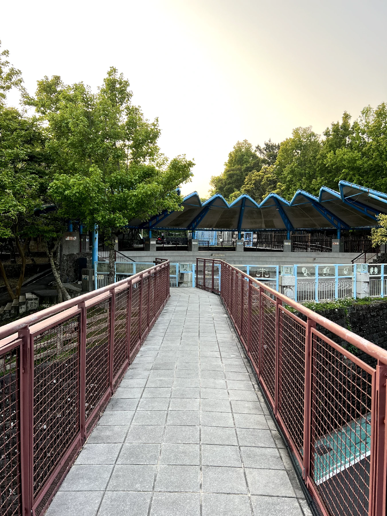 碧山露營場天空步道一景