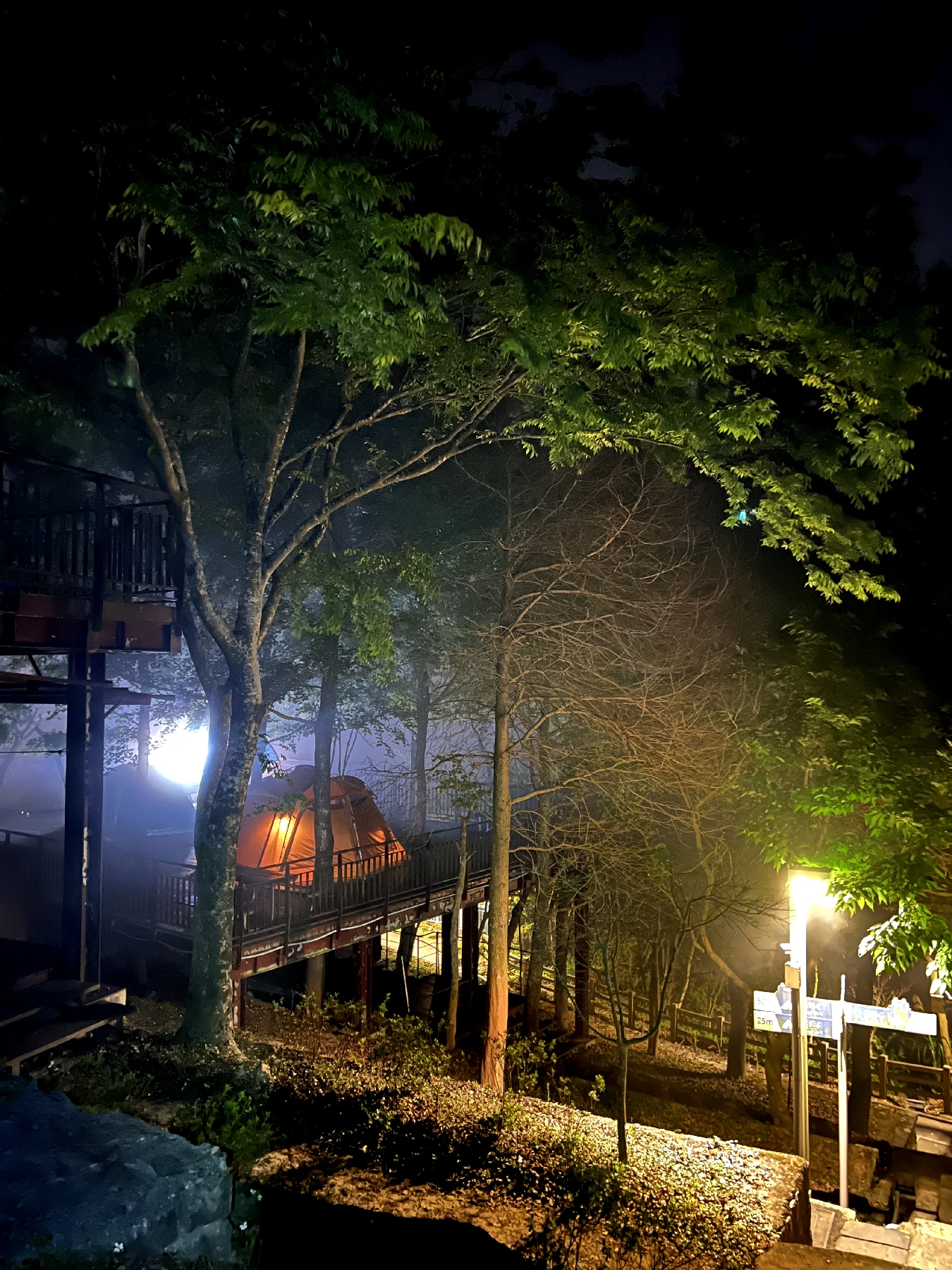 碧山露營場夜晚