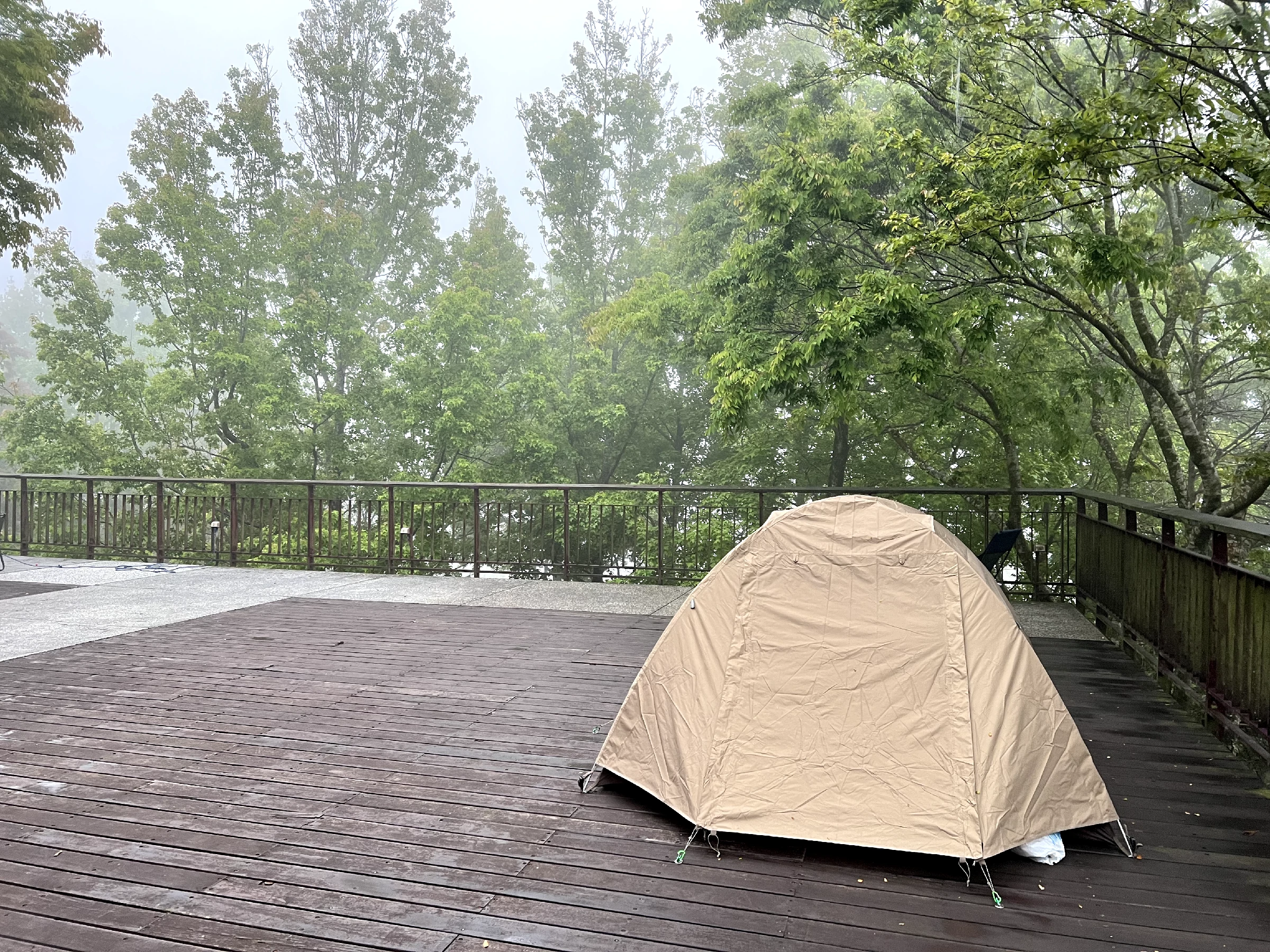 碧山露營場早晨起霧